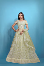 Sea Green Women’s Net Embroidered Lehenga Choli Set – Elegant Ethnic Wear for Festive & Wedding Occasions