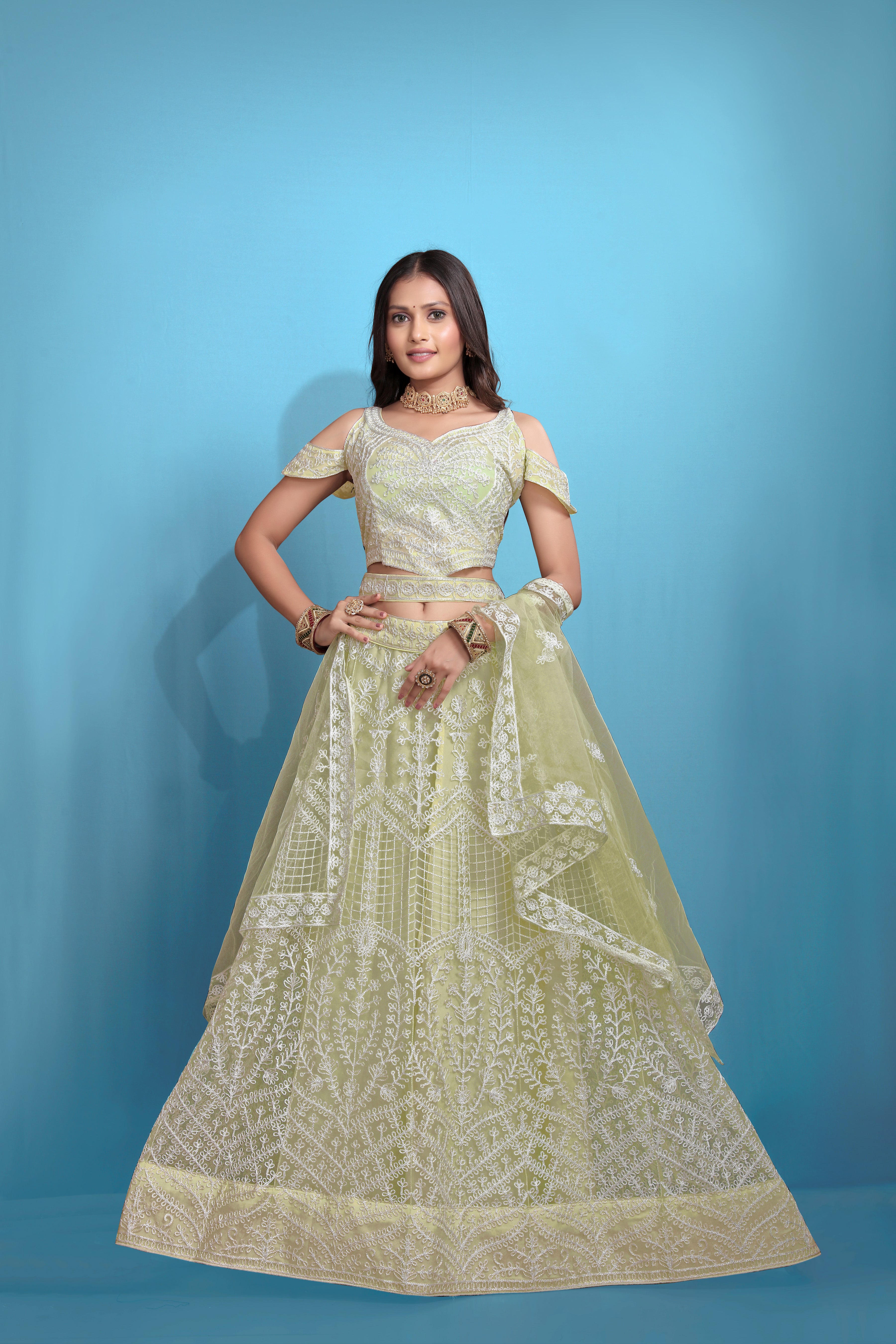 Sea Green Women’s Net Embroidered Lehenga Choli Set – Elegant Ethnic Wear for Festive & Wedding Occasions