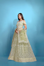 Sea Green Women’s Net Embroidered Lehenga Choli Set – Elegant Ethnic Wear for Festive & Wedding Occasions