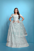 Sky Blue Women’s Net Embroidered Lehenga Choli Set – Elegant Ethnic Wear for Festive & Wedding Occasions