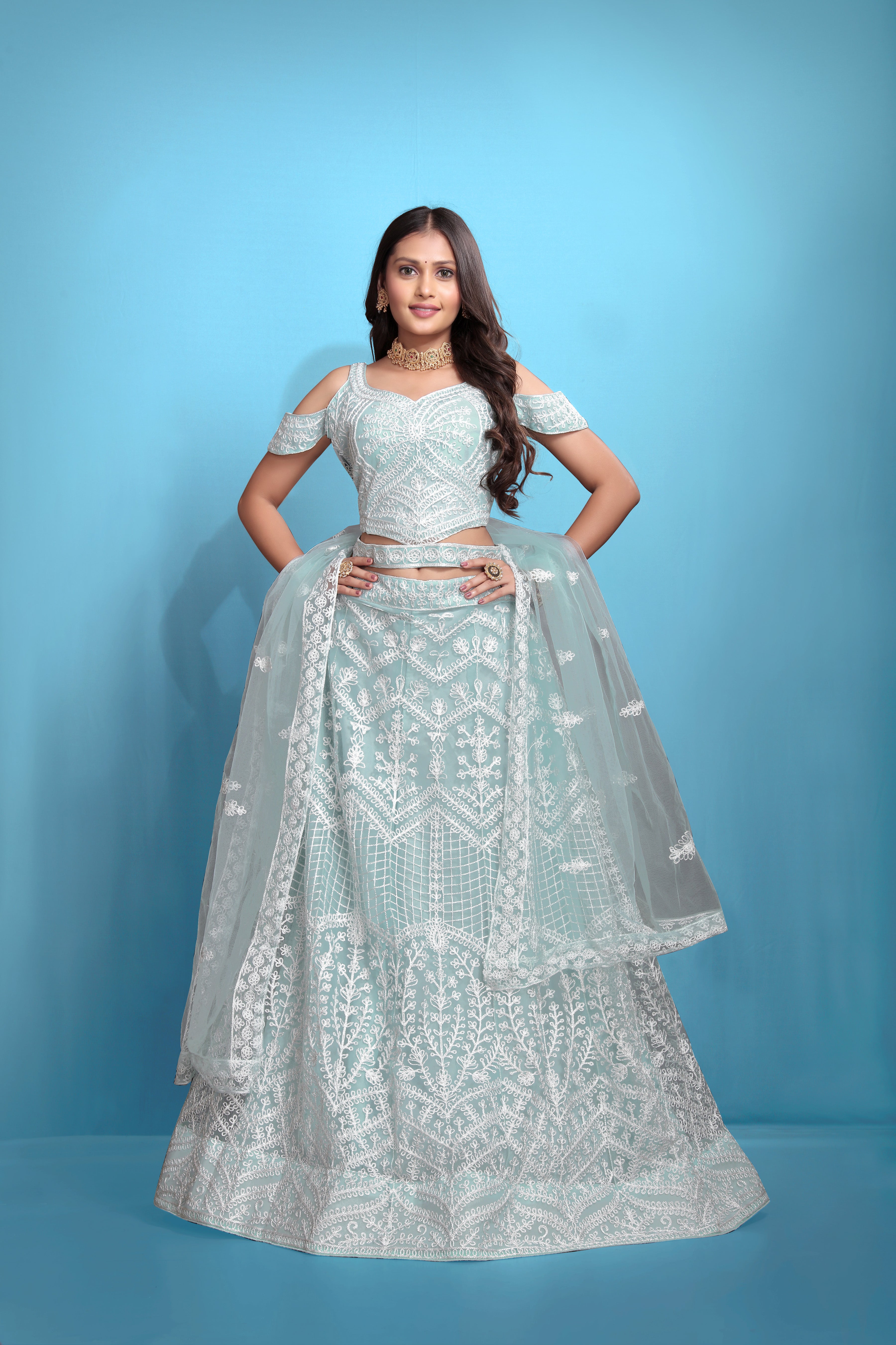 Sky Blue Women’s Net Embroidered Lehenga Choli Set – Elegant Ethnic Wear for Festive & Wedding Occasions