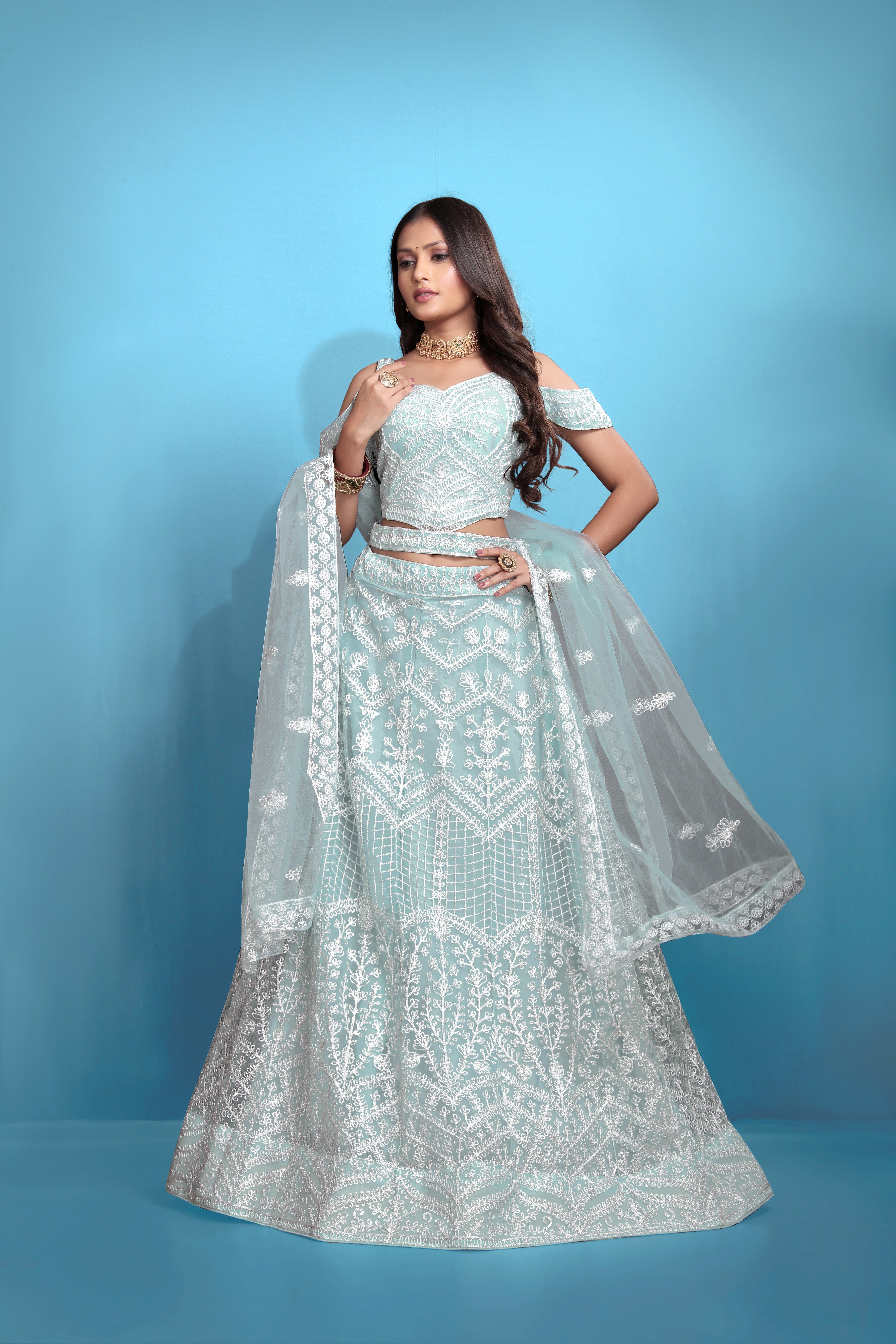 Sky Blue Women’s Net Embroidered Lehenga Choli Set – Elegant Ethnic Wear for Festive & Wedding Occasions