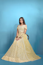 Yellow Women’s Net Embroidered Lehenga Choli Set – Elegant Ethnic Wear for Festive & Wedding Occasions