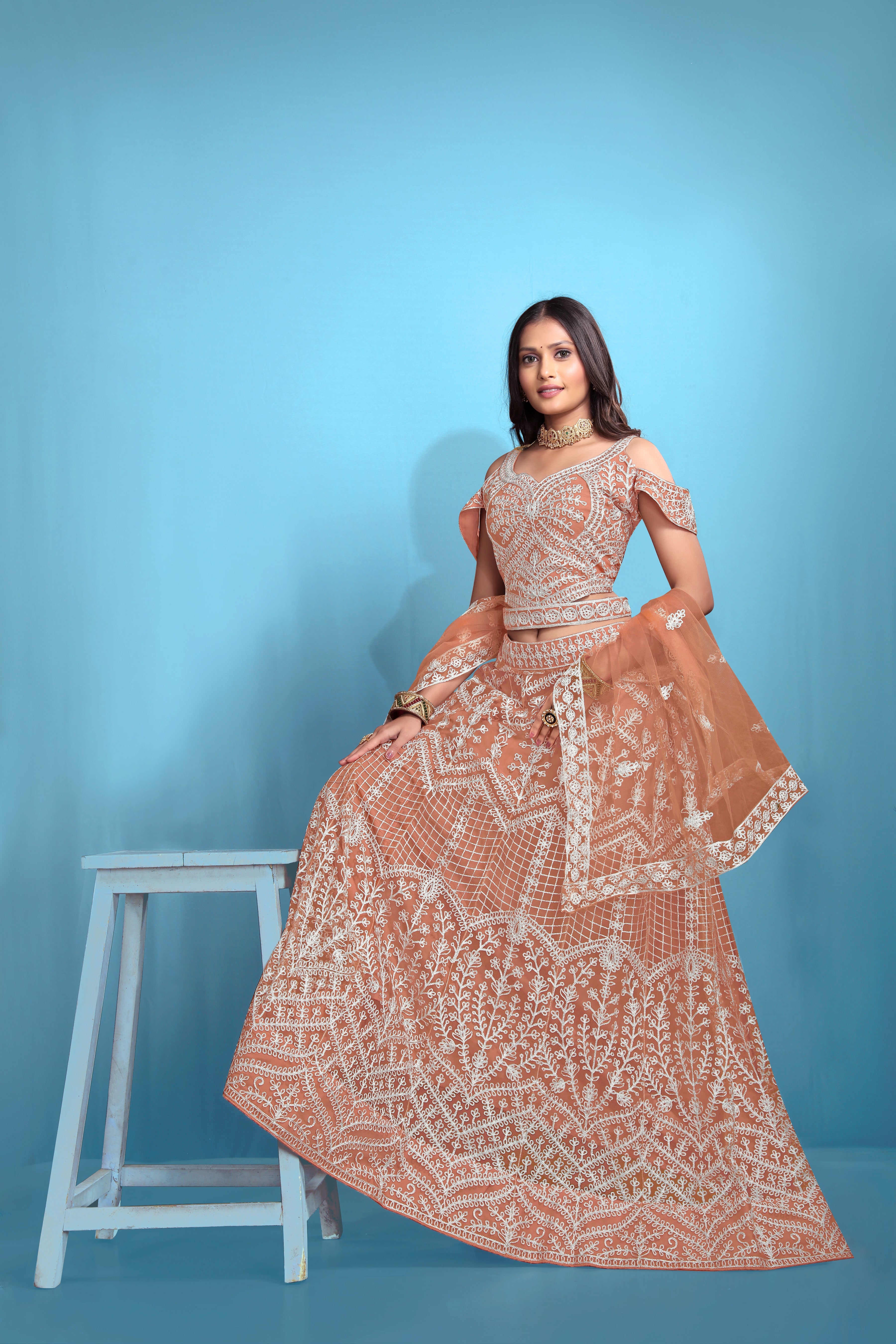Orange Women’s Net Embroidered Lehenga Choli Set – Elegant Ethnic Wear for Festive & Wedding Occasions