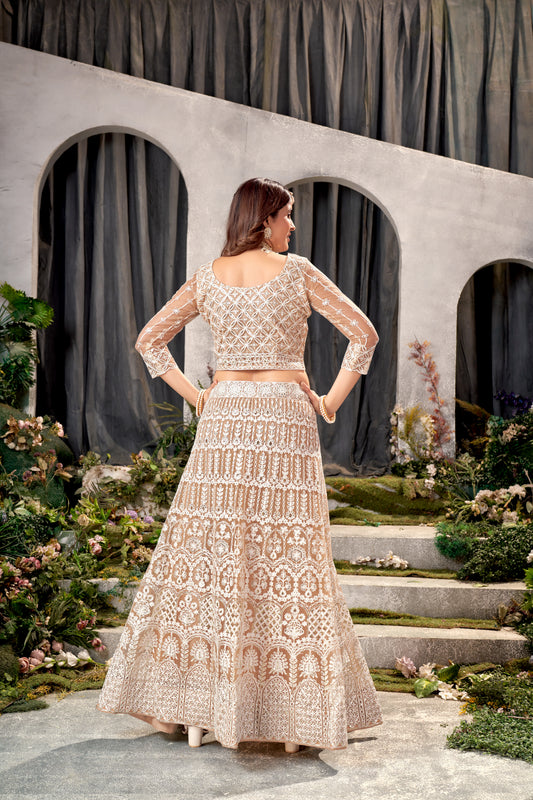 Beige Net Lehenga Choli with Beautiful Embroidery – Elegant Ethnic Wear for Weddings & Parties