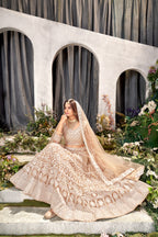 Beige Net Lehenga Choli with Beautiful Embroidery – Elegant Ethnic Wear for Weddings & Parties