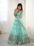 Pista Semi-Stitched Embroidered Net Lehenga Choli Set – Timeless Beauty in Every Thread