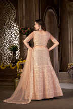 Peach Net with Cancan Heavy Sequence Embroidered Work Semi-Stitched Lehenga Choli