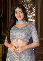Grey Heavy Net With Sequence Embroidered Work Semi Stitch Lehenga Choli