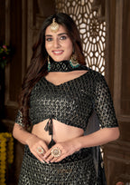 Black Heavy Net With Sequence Embroidered Work Semi Stitch Lehenga Choli
