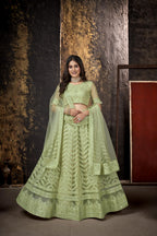 Pista Heavy Net With Designer Embroidery Work Semi Stitch Lehenga Choli